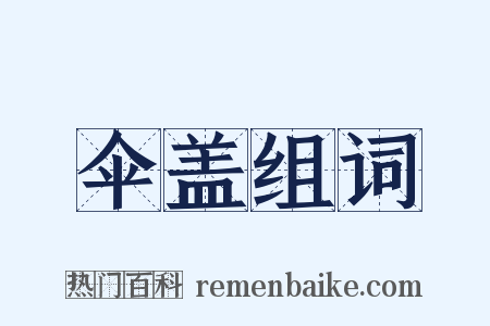 伞盖组词是什么意思的图片